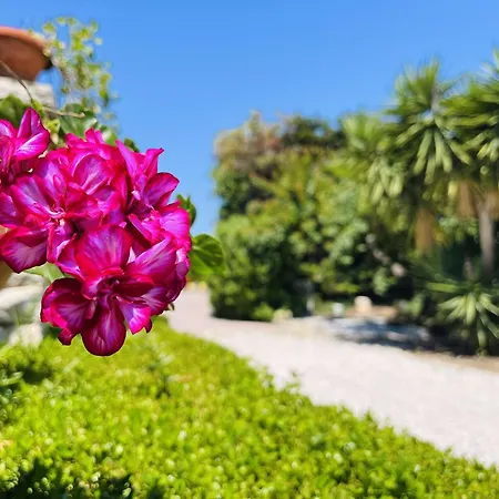 فندق مبيت وإفطار Il Podere