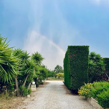 فندق مبيت وإفطار Il Podere تراني