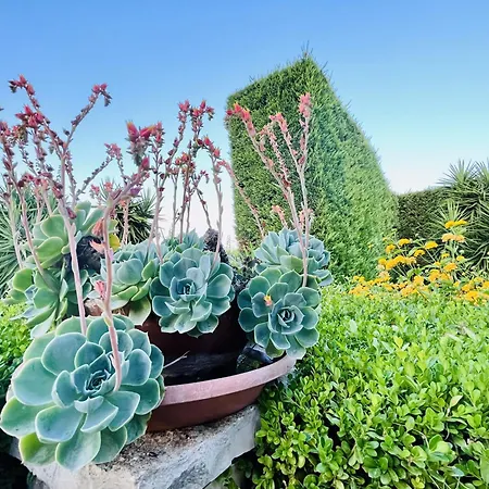 Il Podere Couette-café *