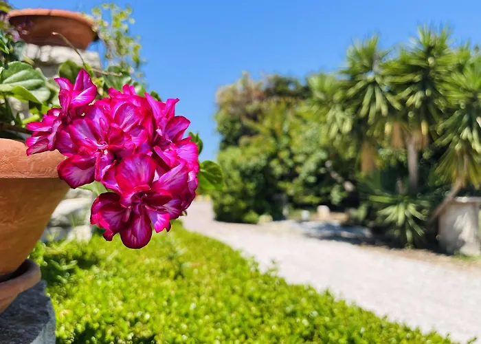 ベッド・アンド・ブレックファスト Il Podere