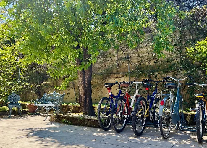 ベッド・アンド・ブレックファスト Il Podere トラーニ