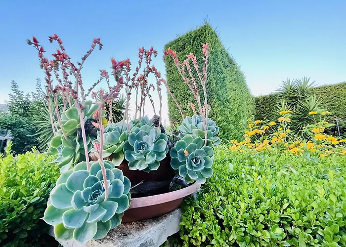 Il Podere לינה וארוחת בוקר *