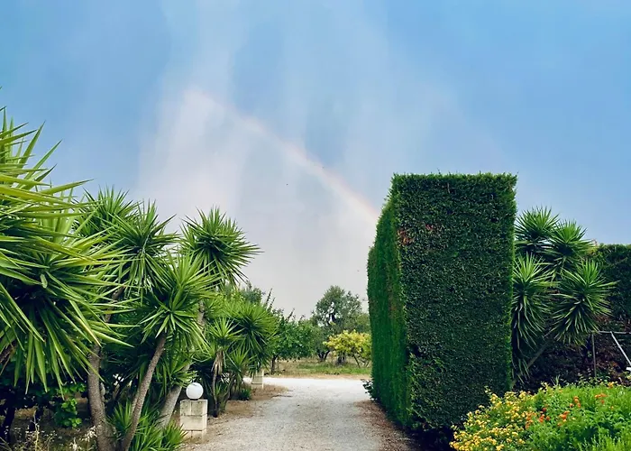 ベッド・アンド・ブレックファスト Il Podere トラーニ